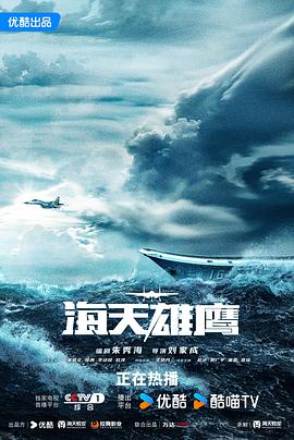 海天雄鹰 - 影视剧导航封面