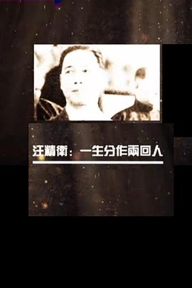 汪精卫：一生分作两回人 - 影视剧导航封面