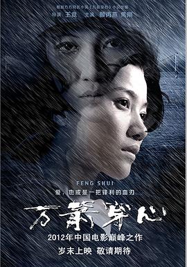 万箭穿心 - 影视剧导航封面