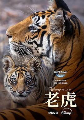 老虎 - 影视剧导航封面