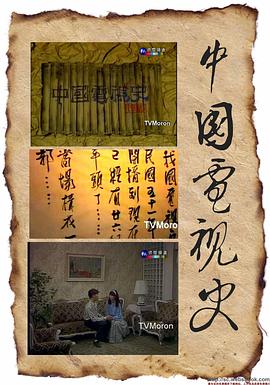 中国电视史 - 影视剧导航封面