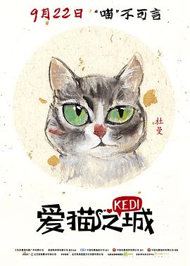 爱猫之城 - 影视剧导航封面