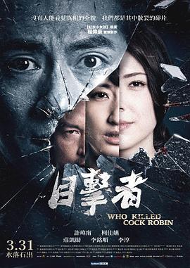 目击者之追凶 - 影视剧导航封面