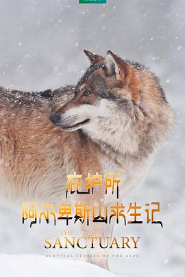 庇护所：阿尔卑斯山求生记 - 影视剧导航封面