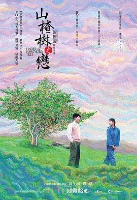 山楂树之恋 - 影视剧导航封面