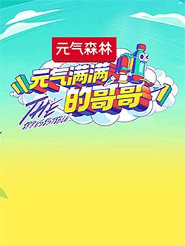 元气满满的哥哥 - 影视剧导航封面
