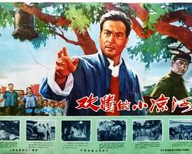 欢腾的小凉河 - 影视剧导航封面