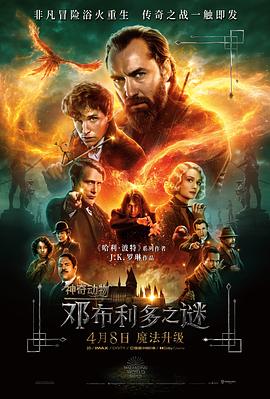 神奇动物：邓布利多之谜 - 影视剧导航封面