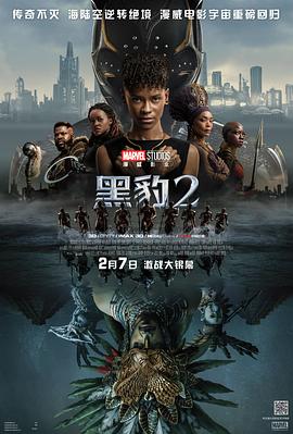 黑豹2 - 影视剧导航封面