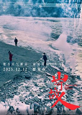 山河故人 - 影视剧导航封面