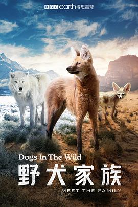 野犬家族 - 影视剧导航封面