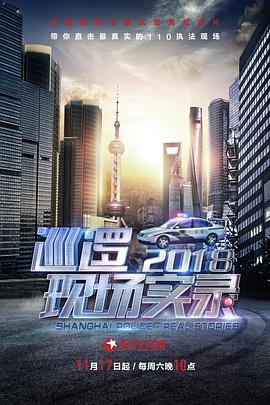巡逻现场实录2018 - 影视剧导航封面