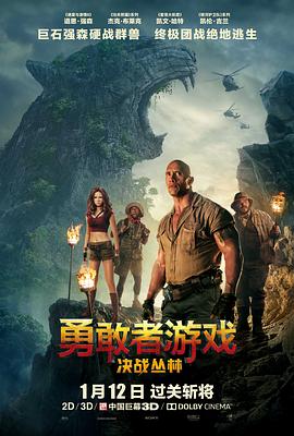 勇敢者游戏：决战丛林 - 影视剧导航封面