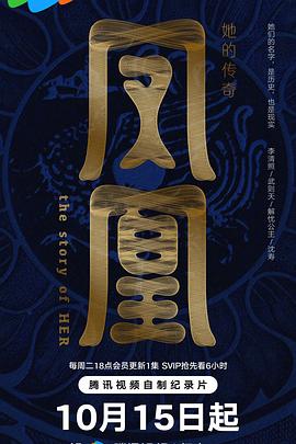 凤凰：她的传奇 - 影视剧导航封面