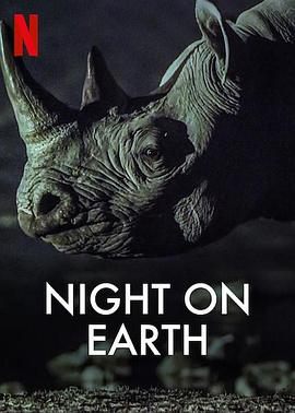 地球的夜晚 - 影视剧导航封面