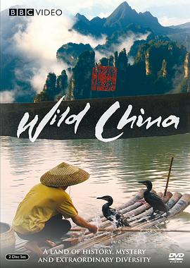 美丽中国 - 影视剧导航封面