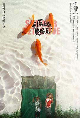 平原上的夏洛克 - 影视剧导航封面