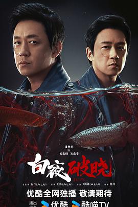 白夜破晓 - 影视剧导航封面