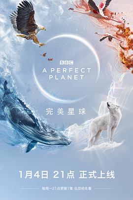 完美星球 - 影视剧导航封面